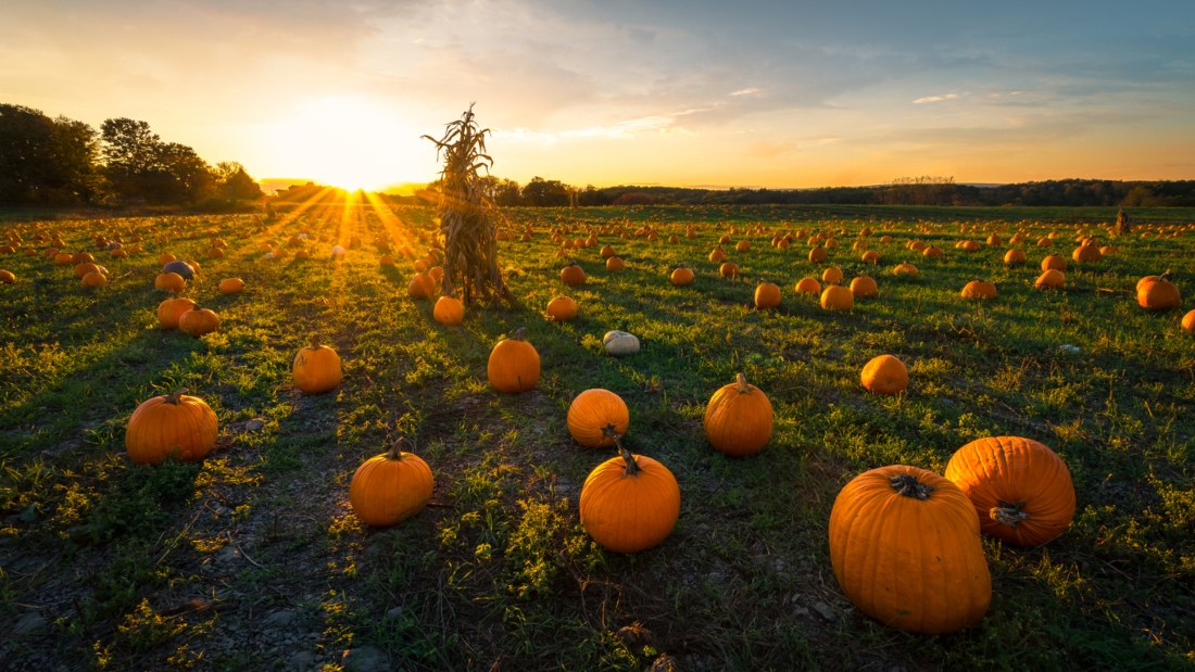 iStock-1007339180__1.jpg