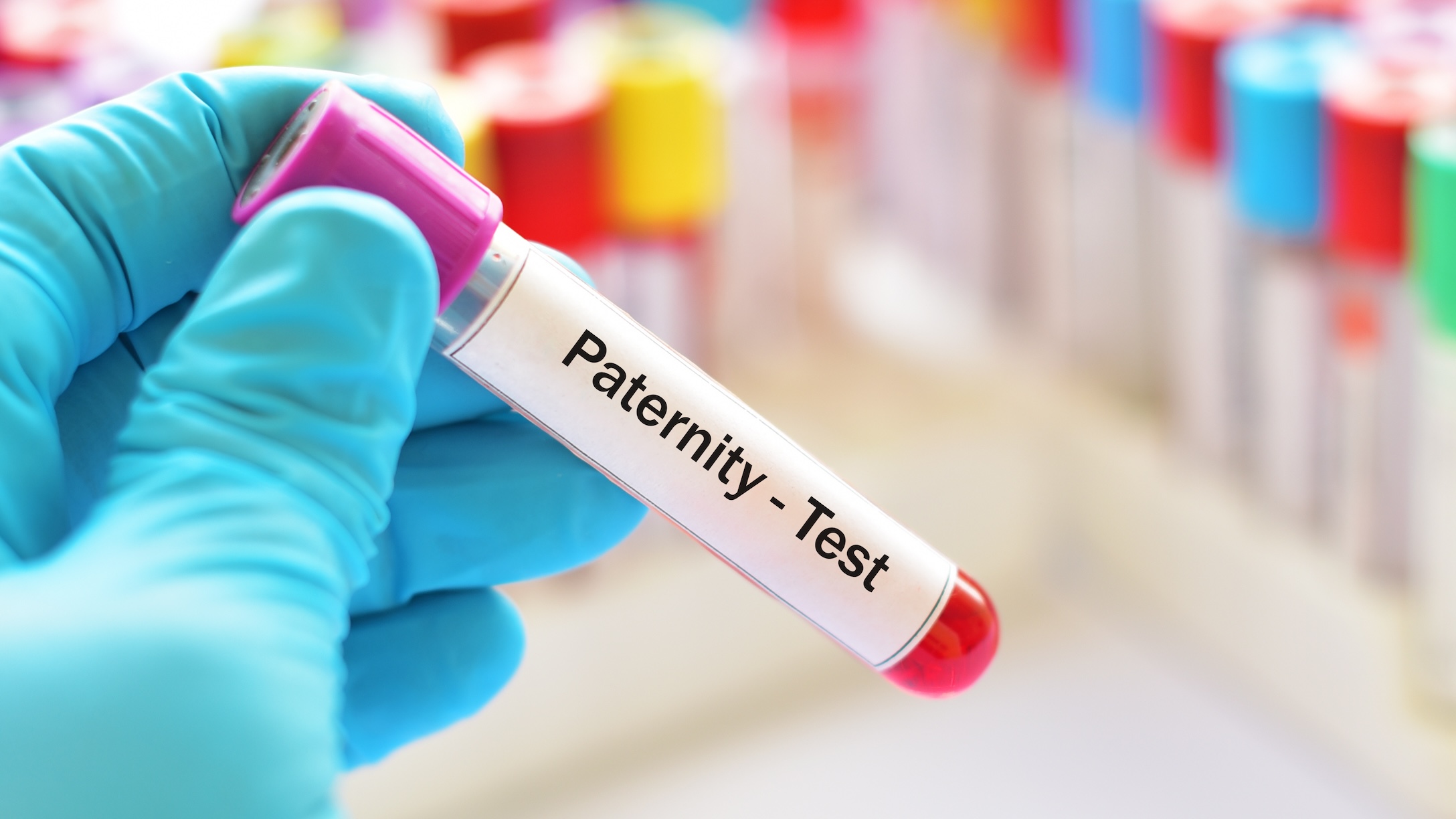 paternity test DNA test