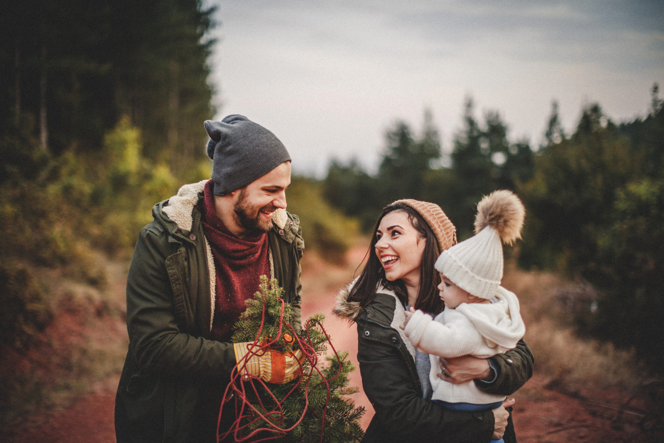 Choosing tree in forest