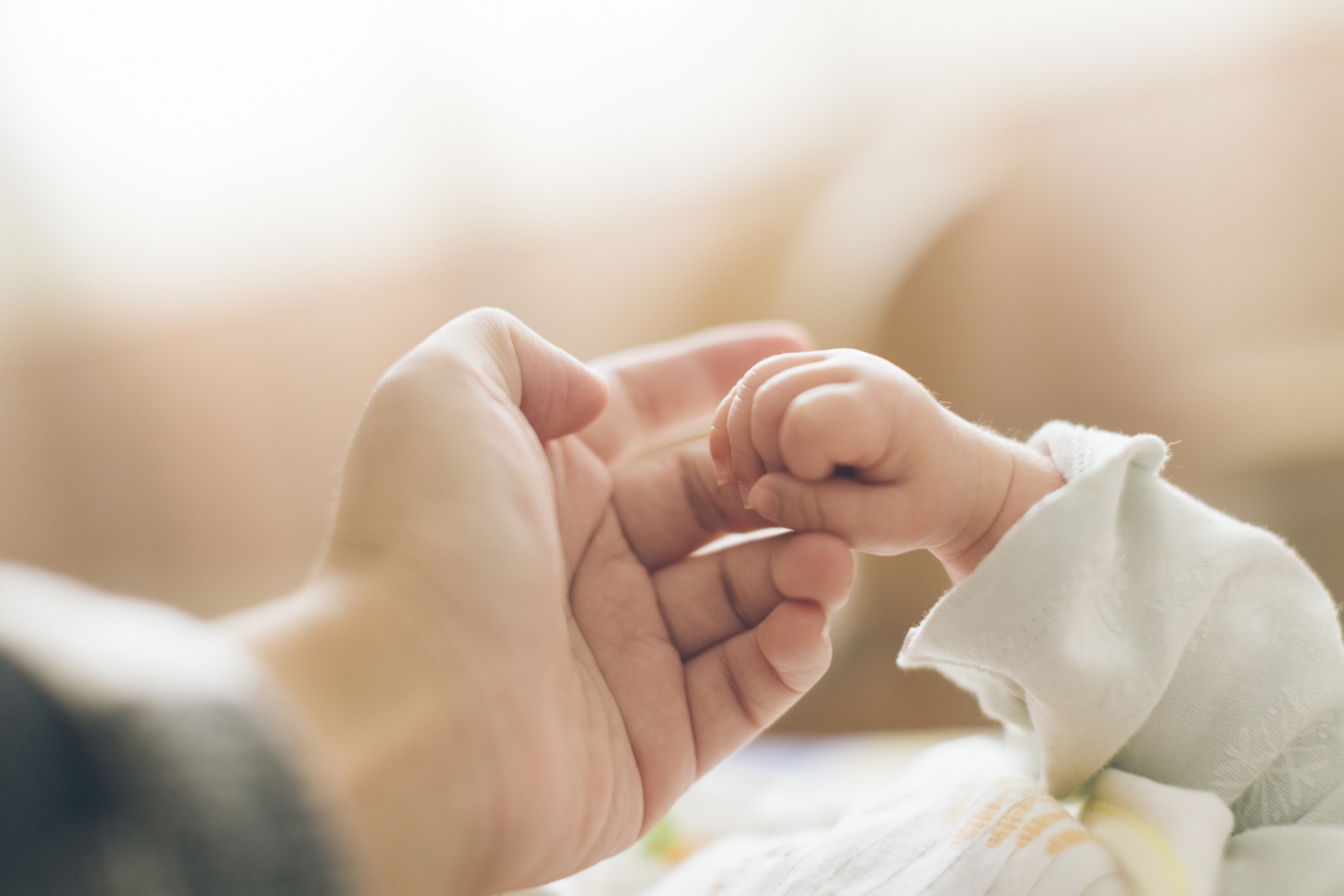 parent touching baby's hand
