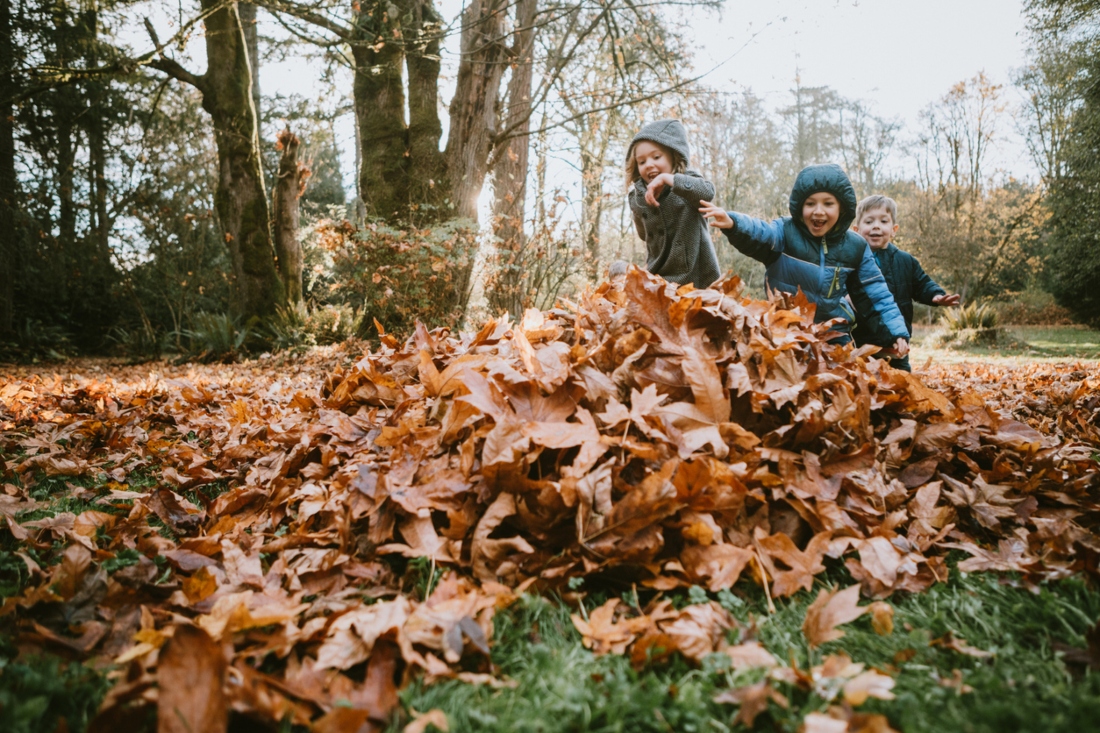 iStock-1066694060__1.jpg