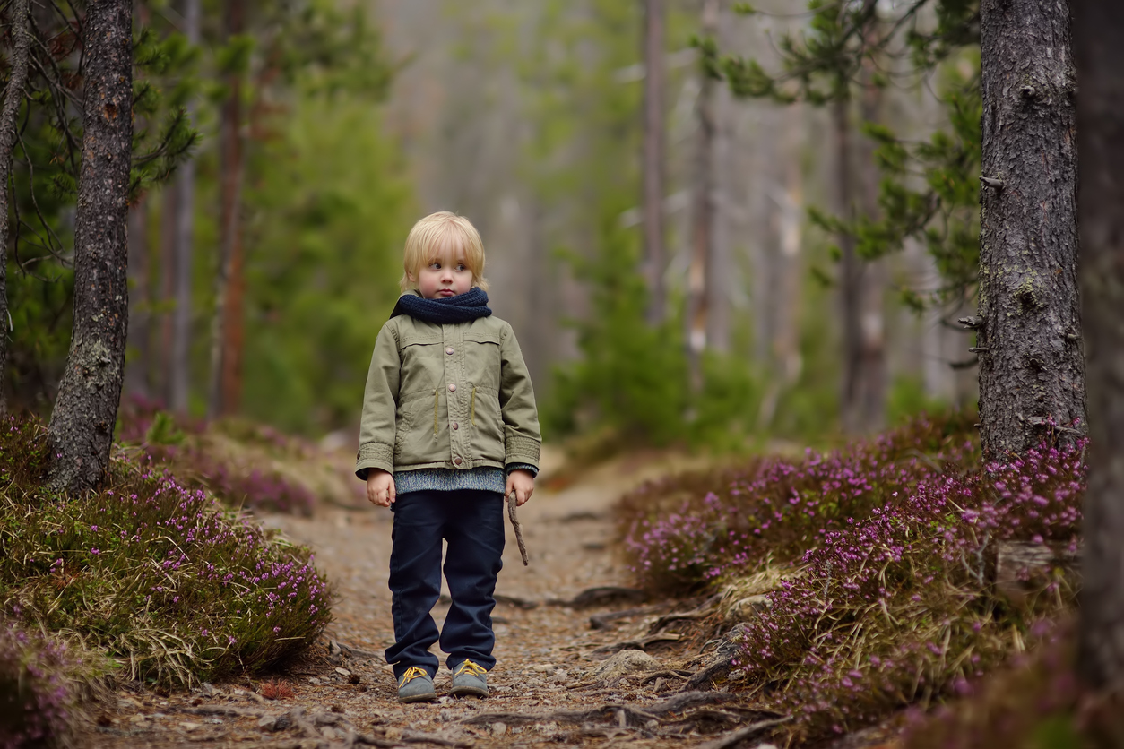 Cute little boy walks in Swiss national Park on spring. Hiking with little kids.