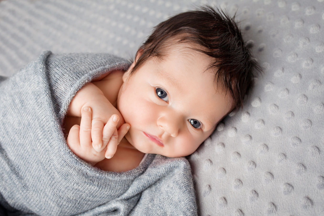 Sweet newborn baby attentively looking. Newborn boy 2 weeks old in the cocon lying on grey blanket. Close up image