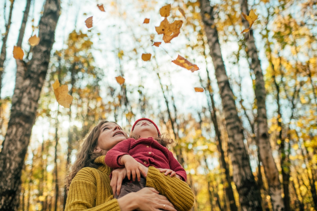iStock-1158283782__1.jpg
