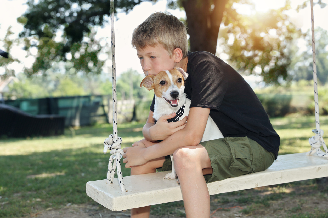 Sad boy sitting swing and hugging a dog. Family Problems, Loneliness. Divorce Effects On Children