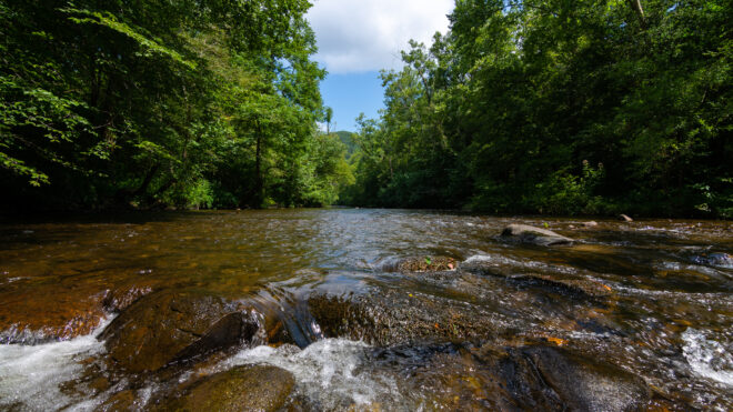 Tennessee creek