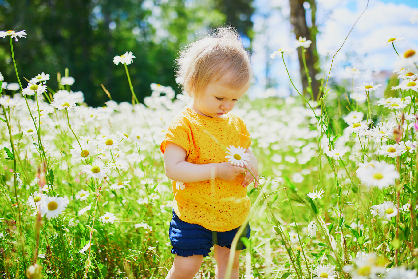 Adorable baby girl amidst green grass and beauitiful daisies