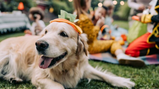 iStock-1178984348 (1)