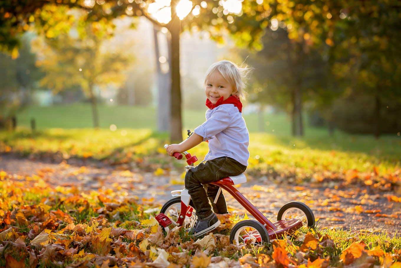 iStock-1181834219.jpg