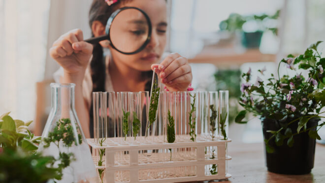 iStock-1188376761