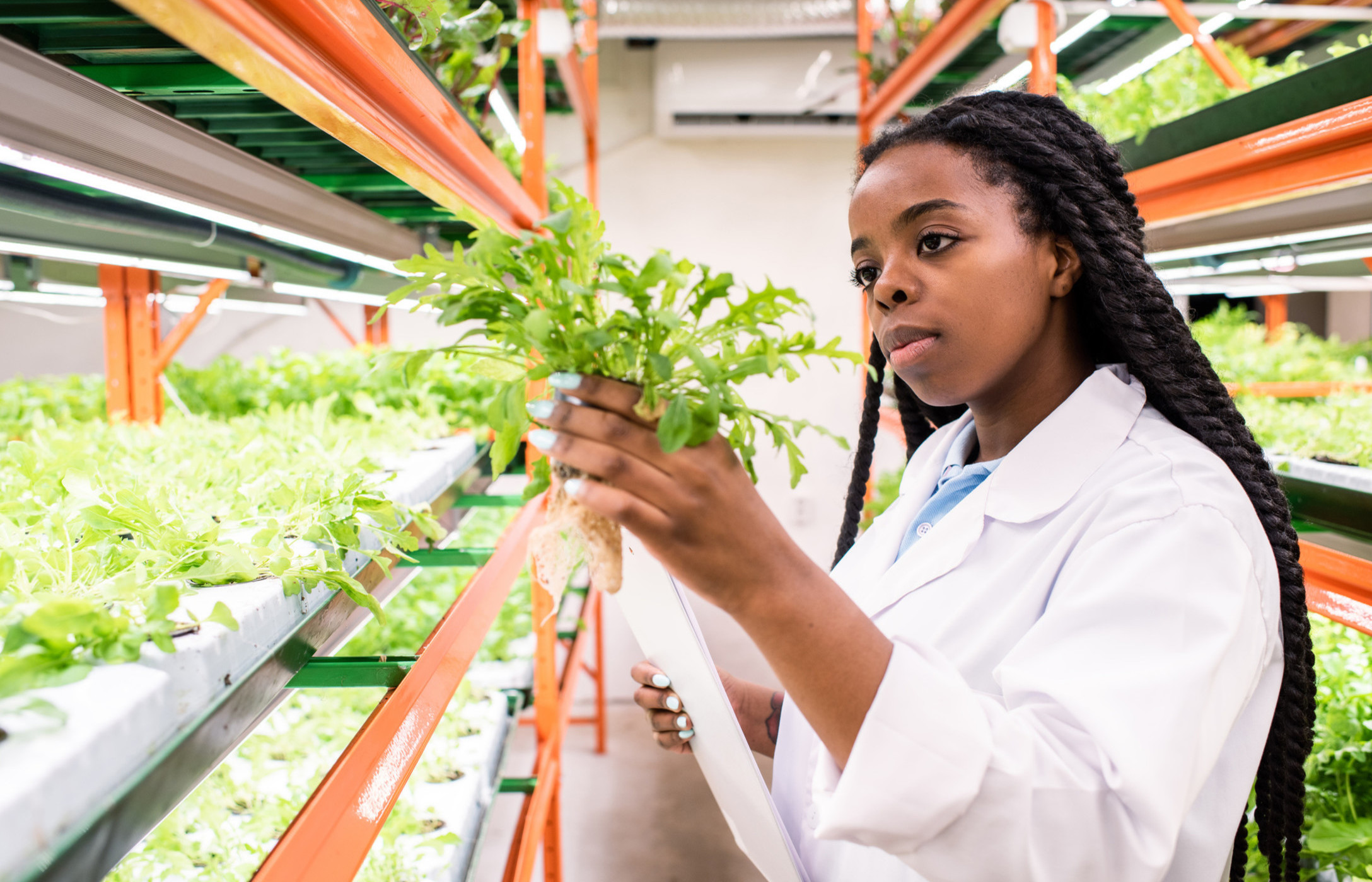 Woman growing plants