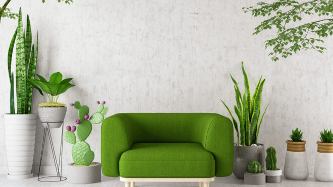 houseplants