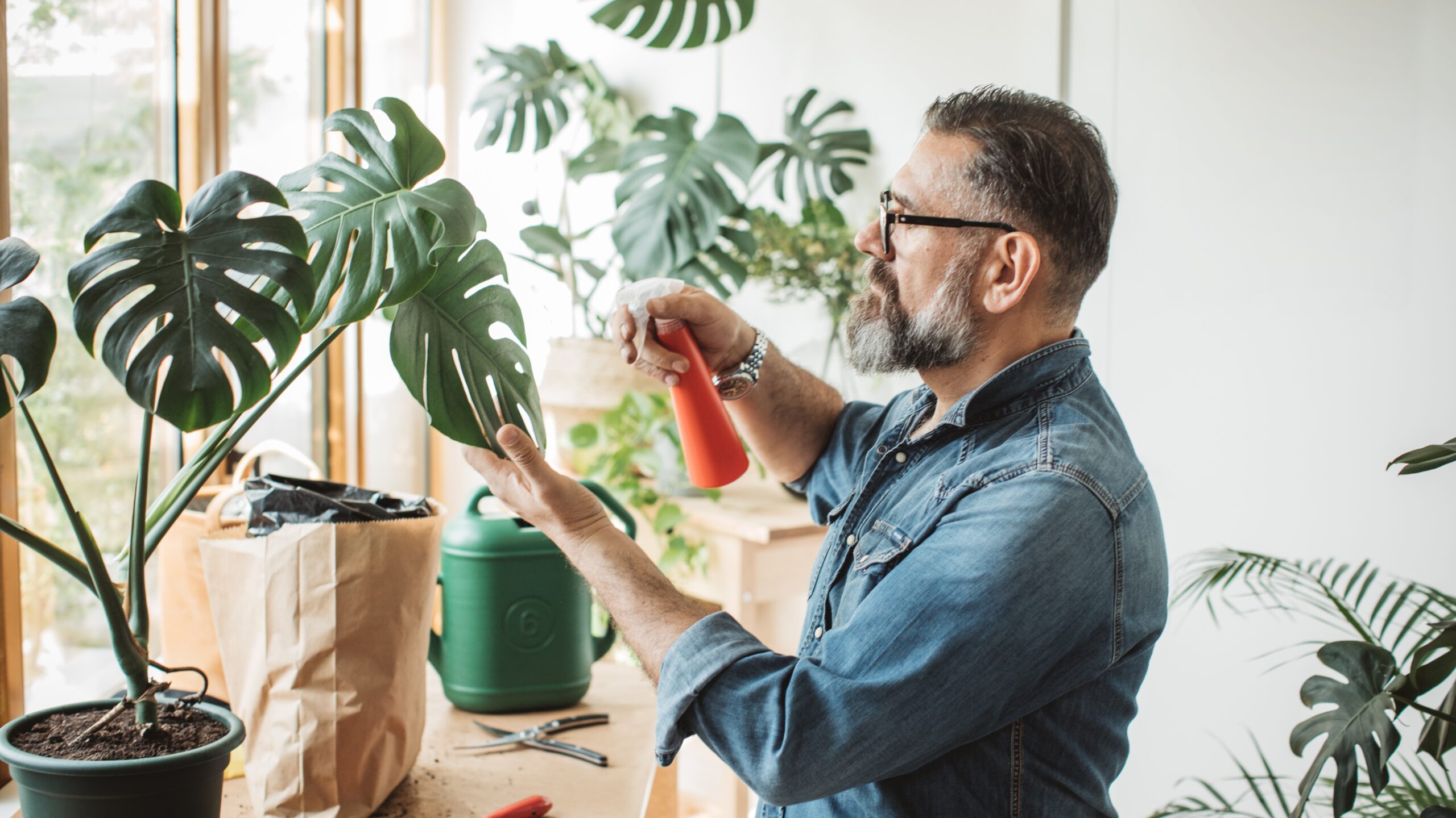 Flower gardening during isolation period