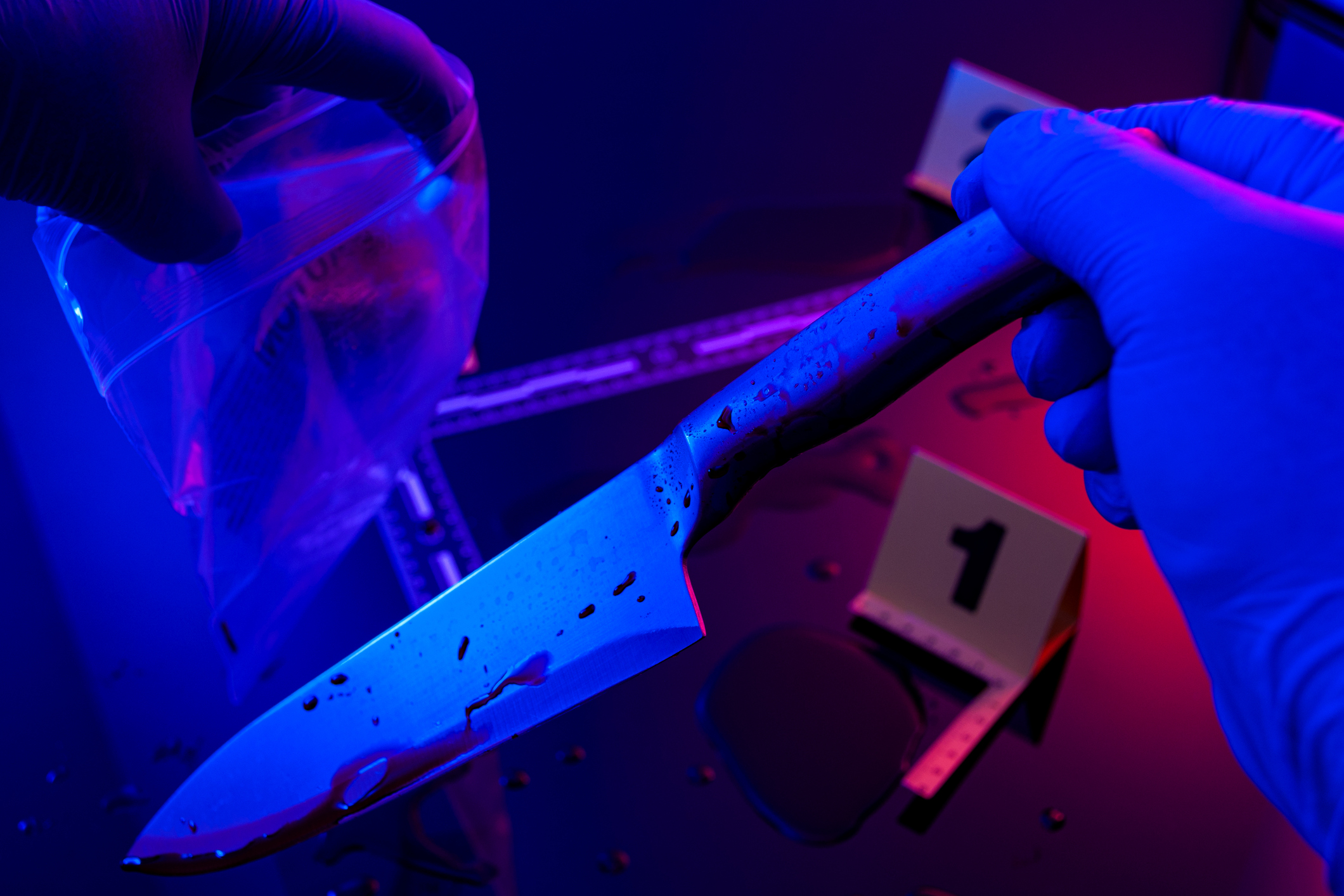Forensic science, murder weapon and criminal investigation concept with detective wearing latex gloves bags kitchen knife to send to lab in dark crime scene illuminated by red and blue cop car lights