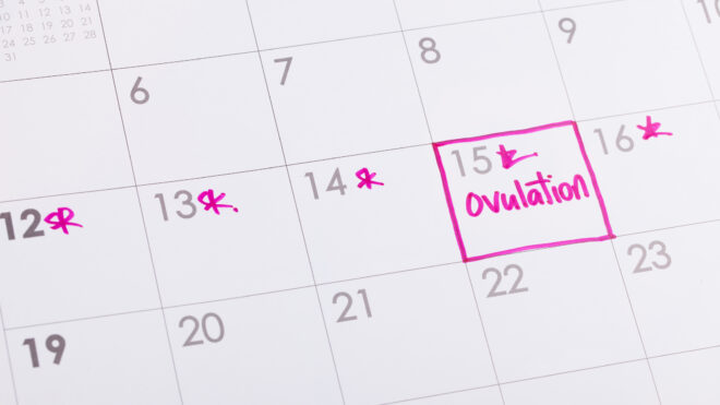 ovulation calendar