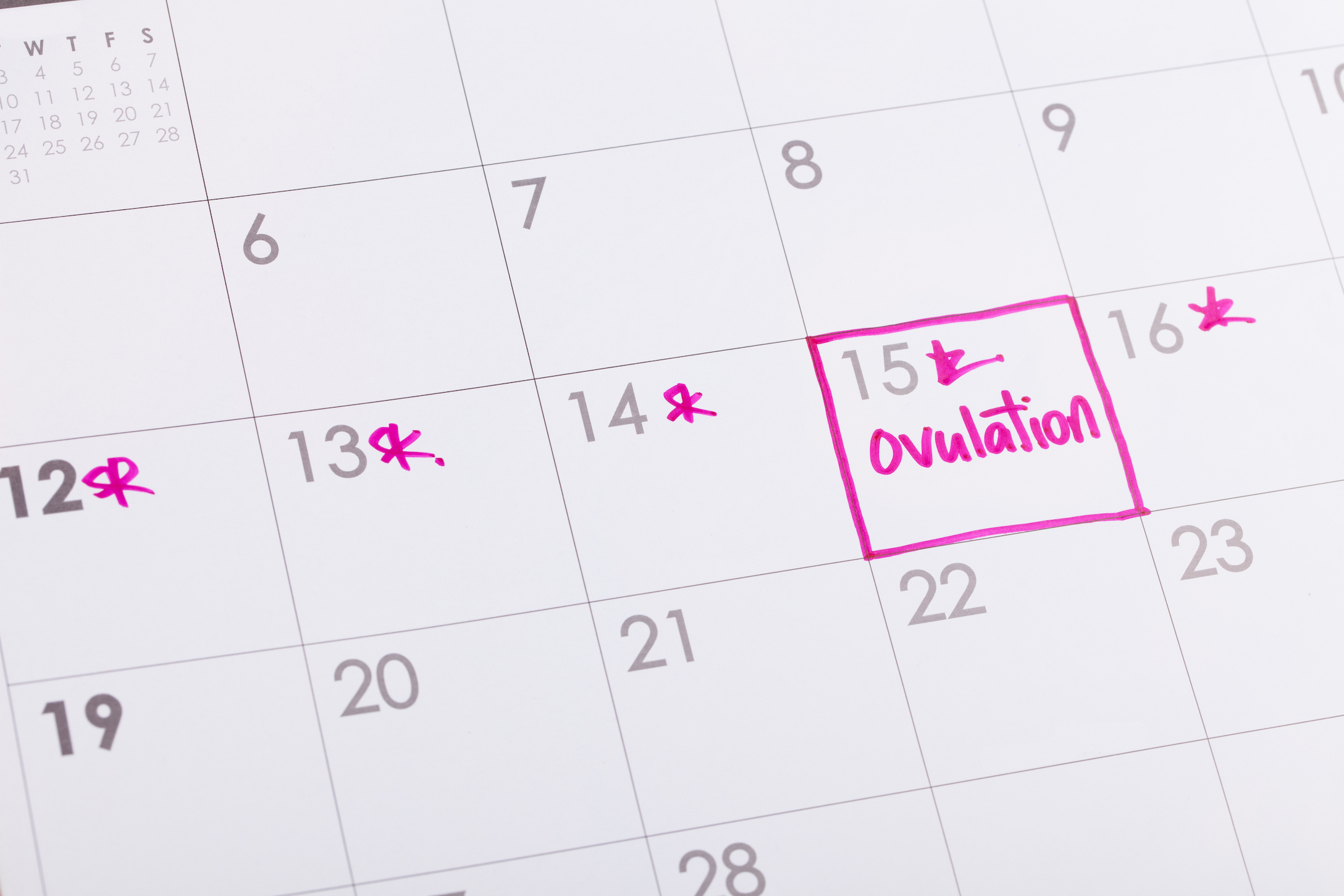 ovulation calendar