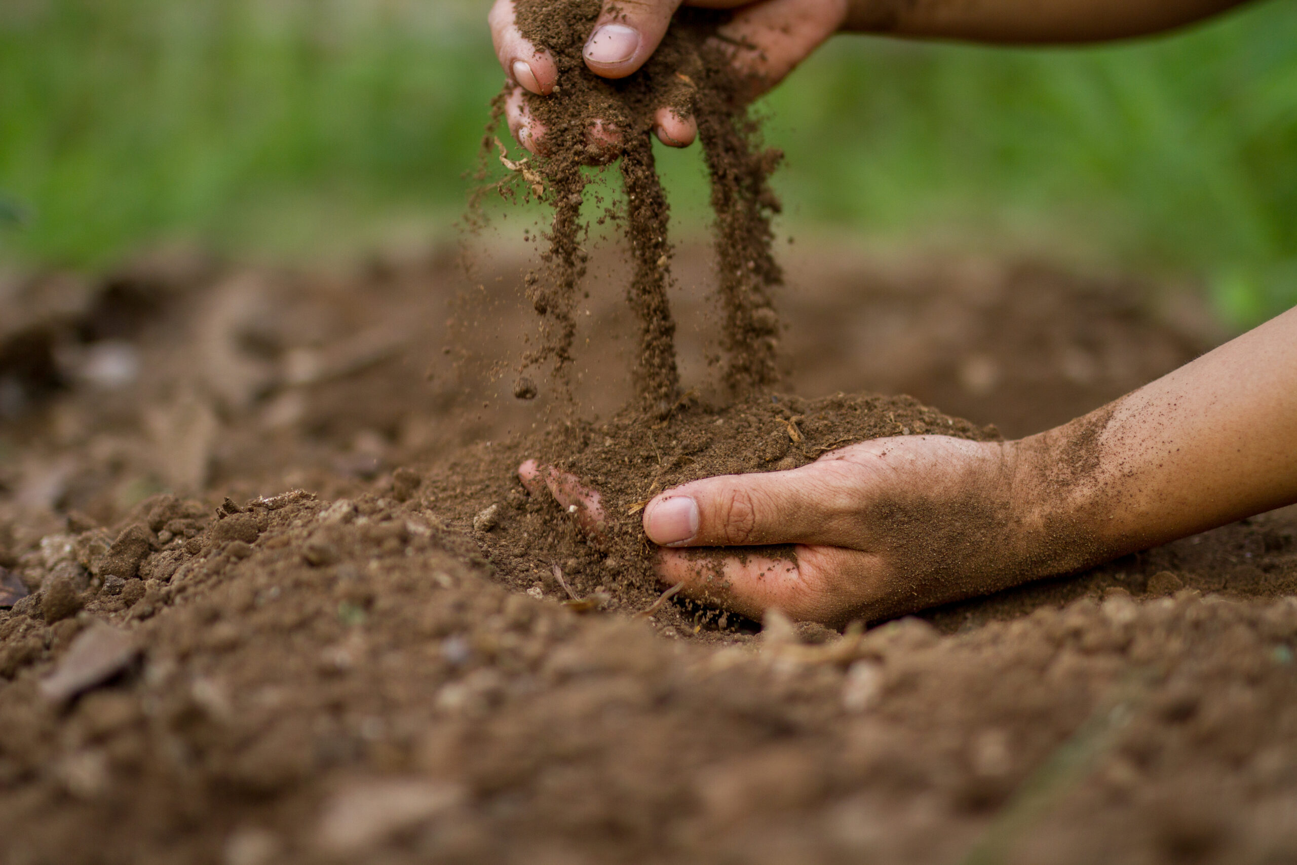 Soil checking