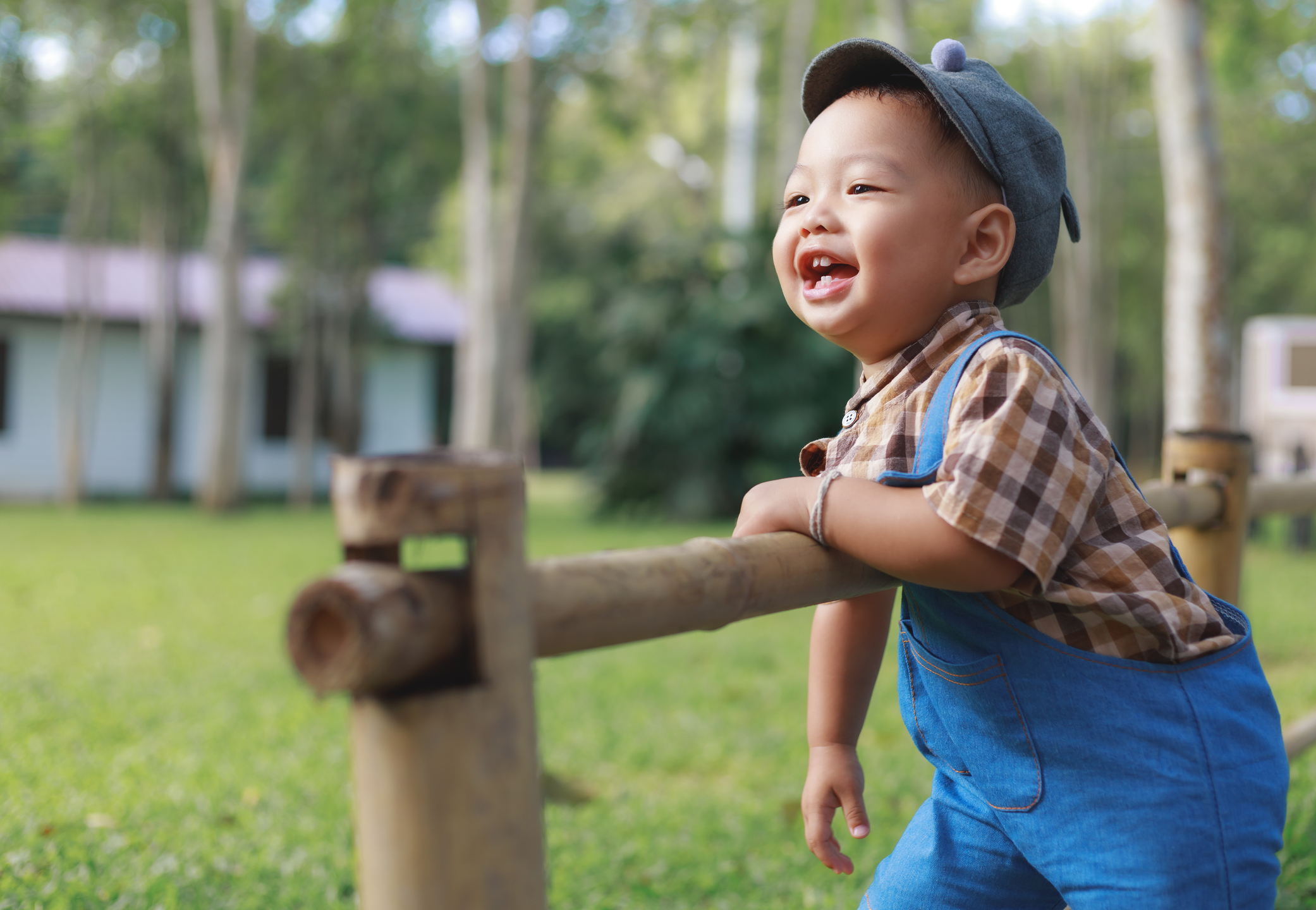 Asian toddler boy playing in garden