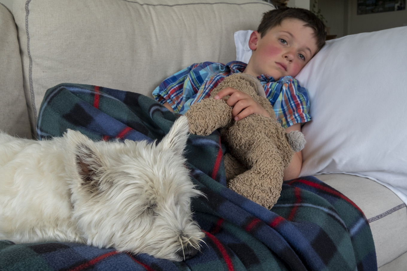 A sick young boy resting on a sofa with his family dog