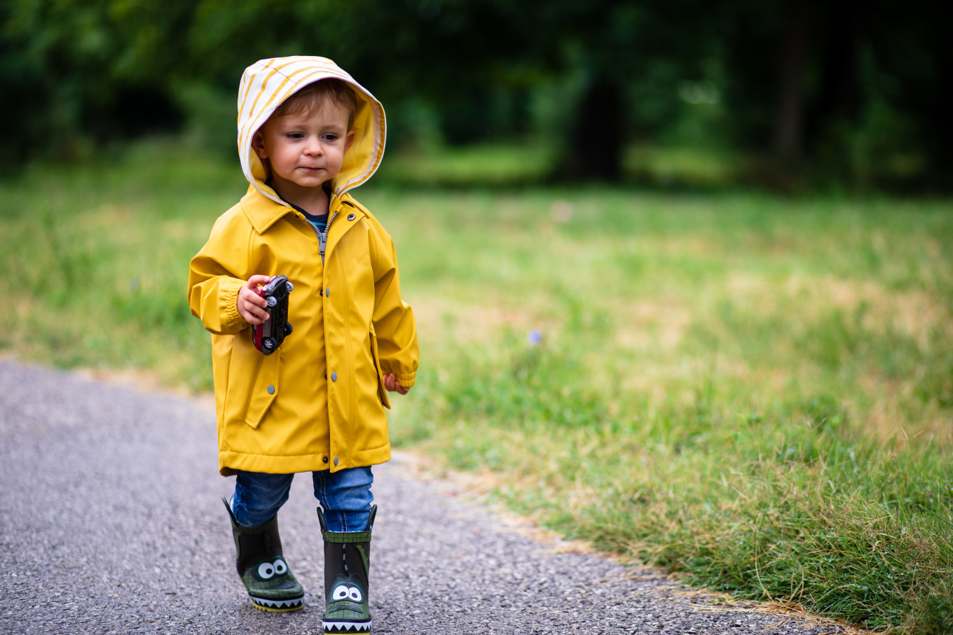 iStock-1262962879.jpg