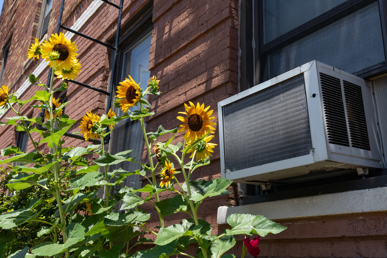 Window Air Conditioning Unit with Yellow Sunflowers in Astoria Queens New York during Summer