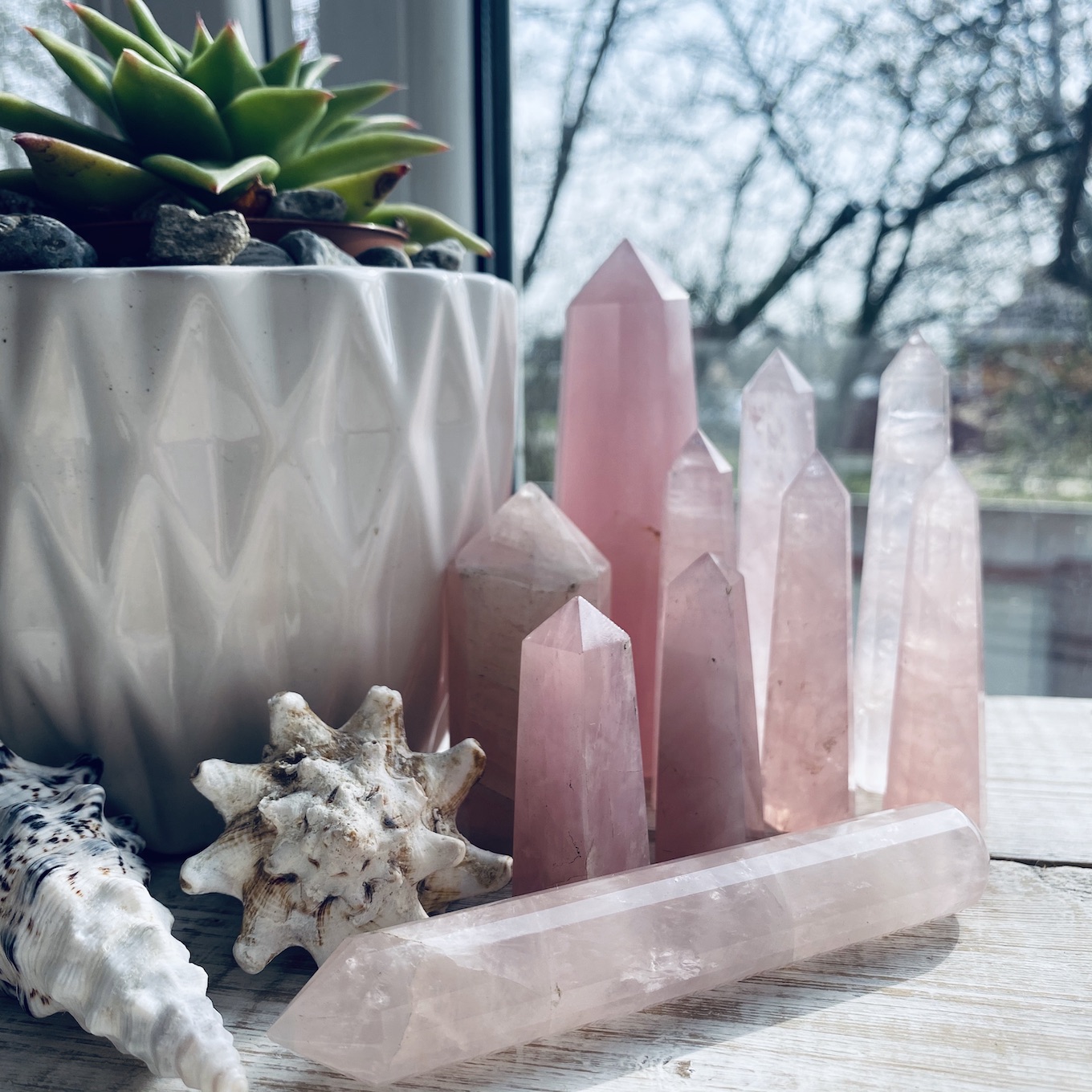 Rose quartz crystals and seashells