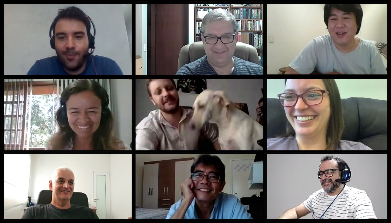 Screen of a video conference with nine people. Image for paste to your screen.