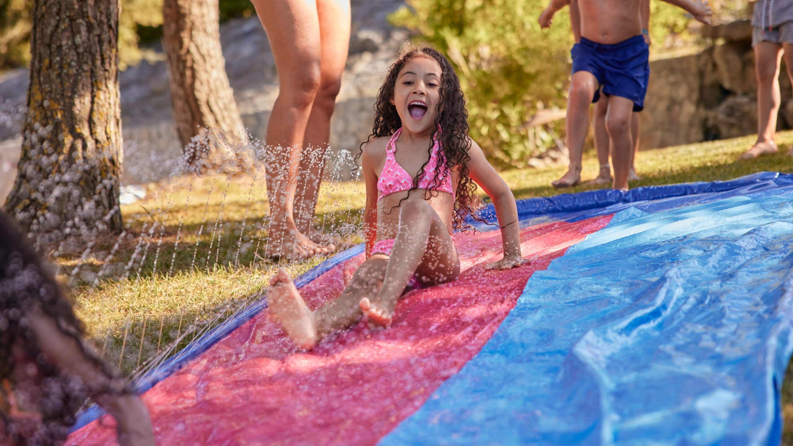 iStock-1287262449.jpg