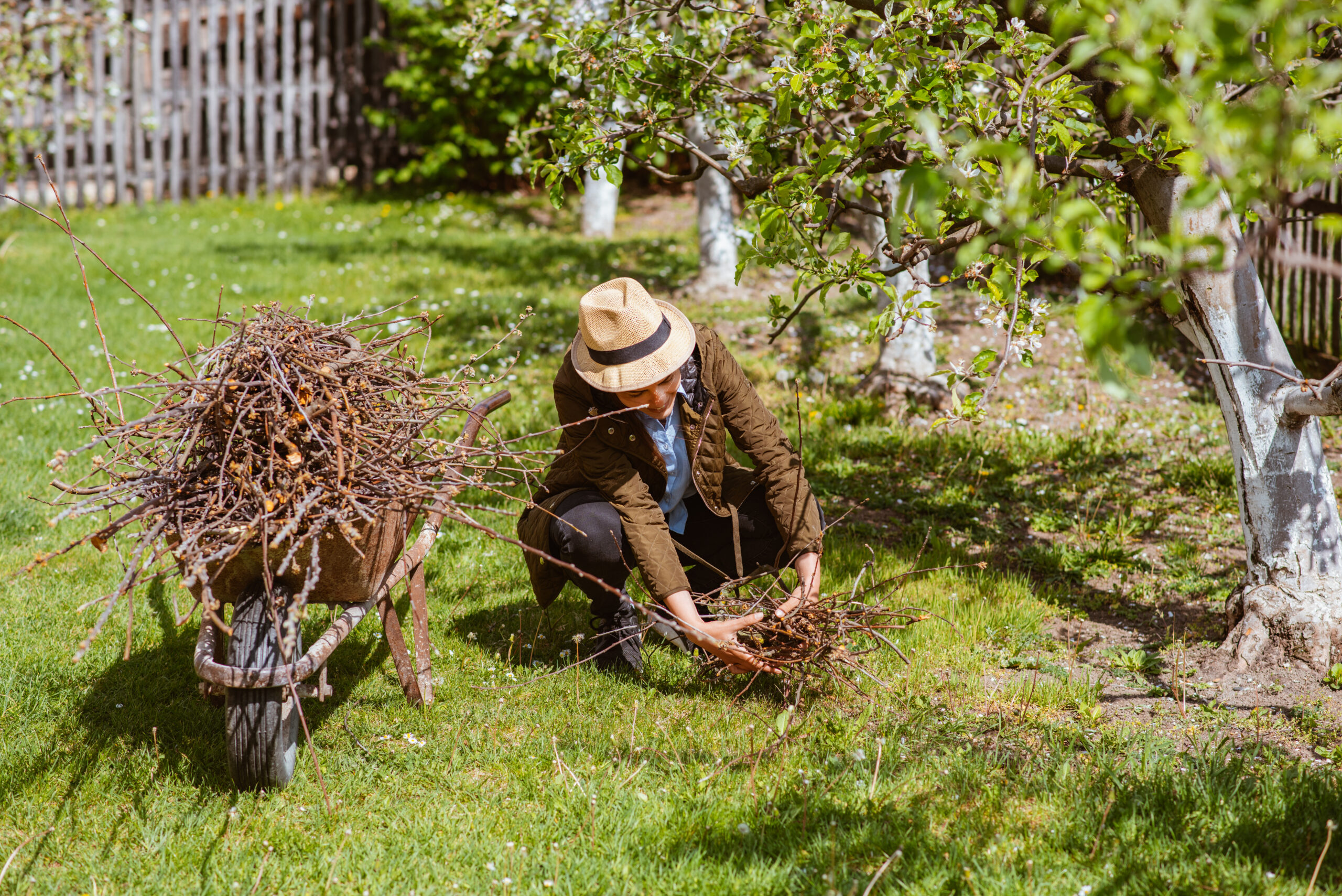 Young woman gardening with dry branches of bushes and fruit trees.
