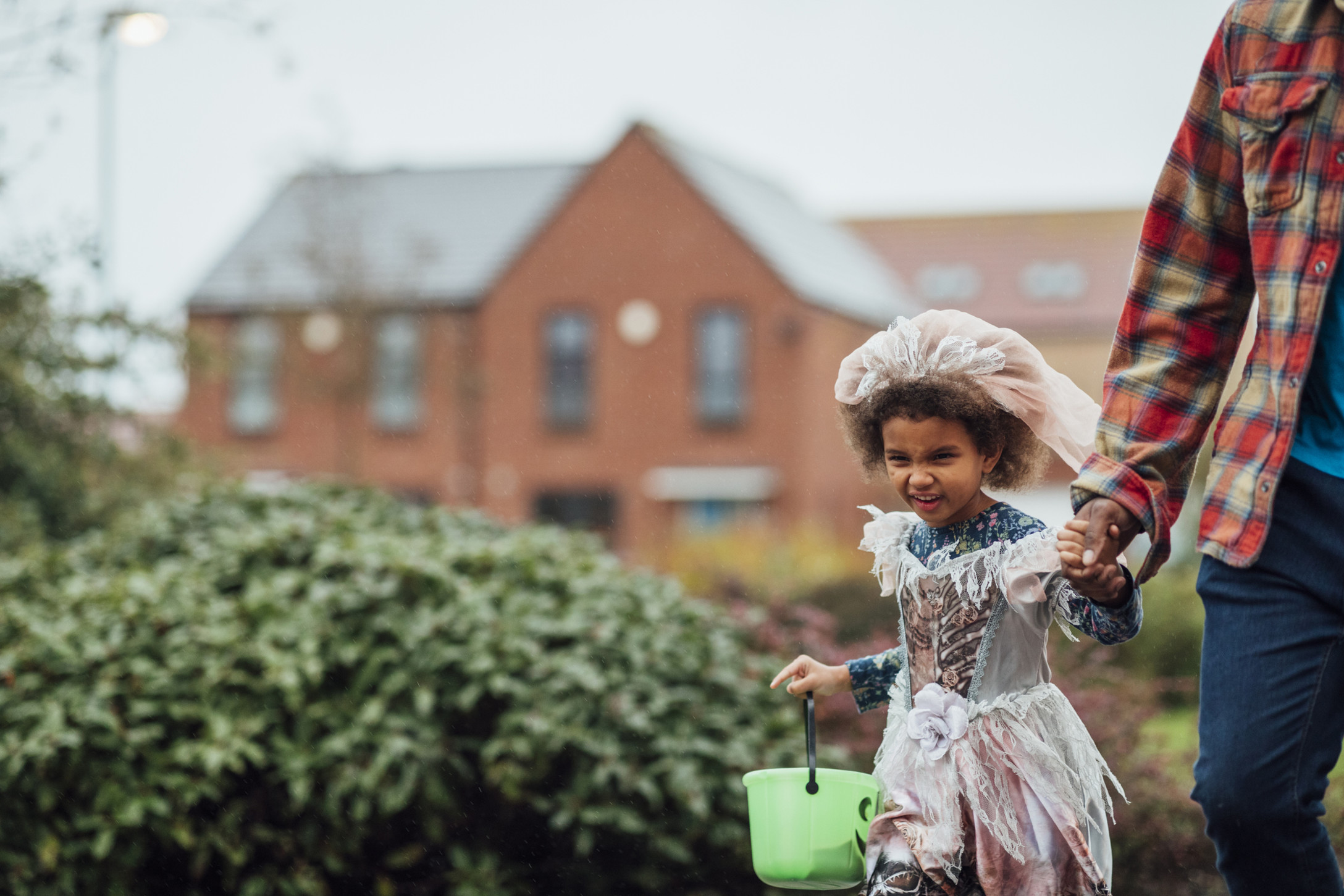 iStock-1334487991-1.jpg