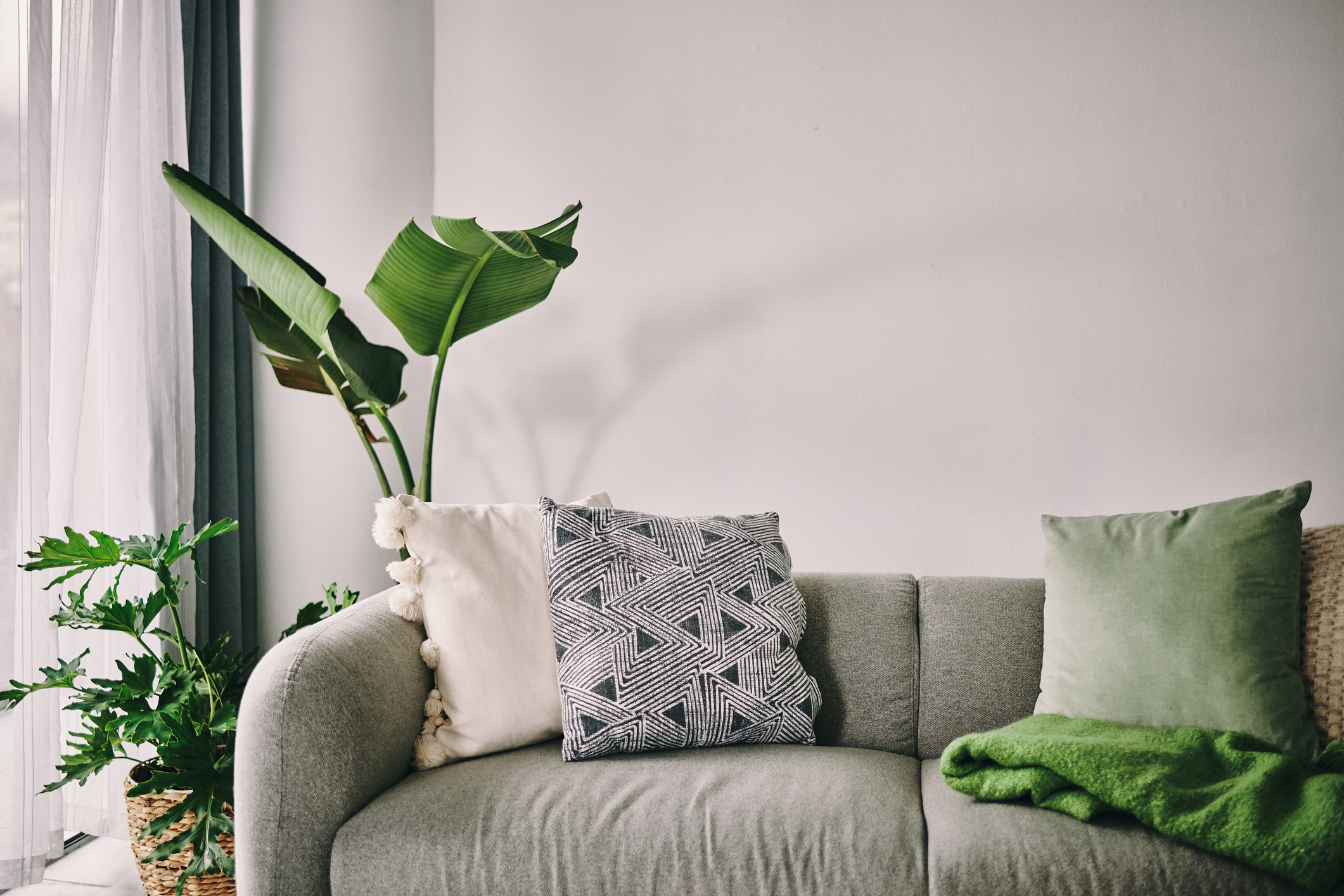 Shot of a sofa in the lounge at home