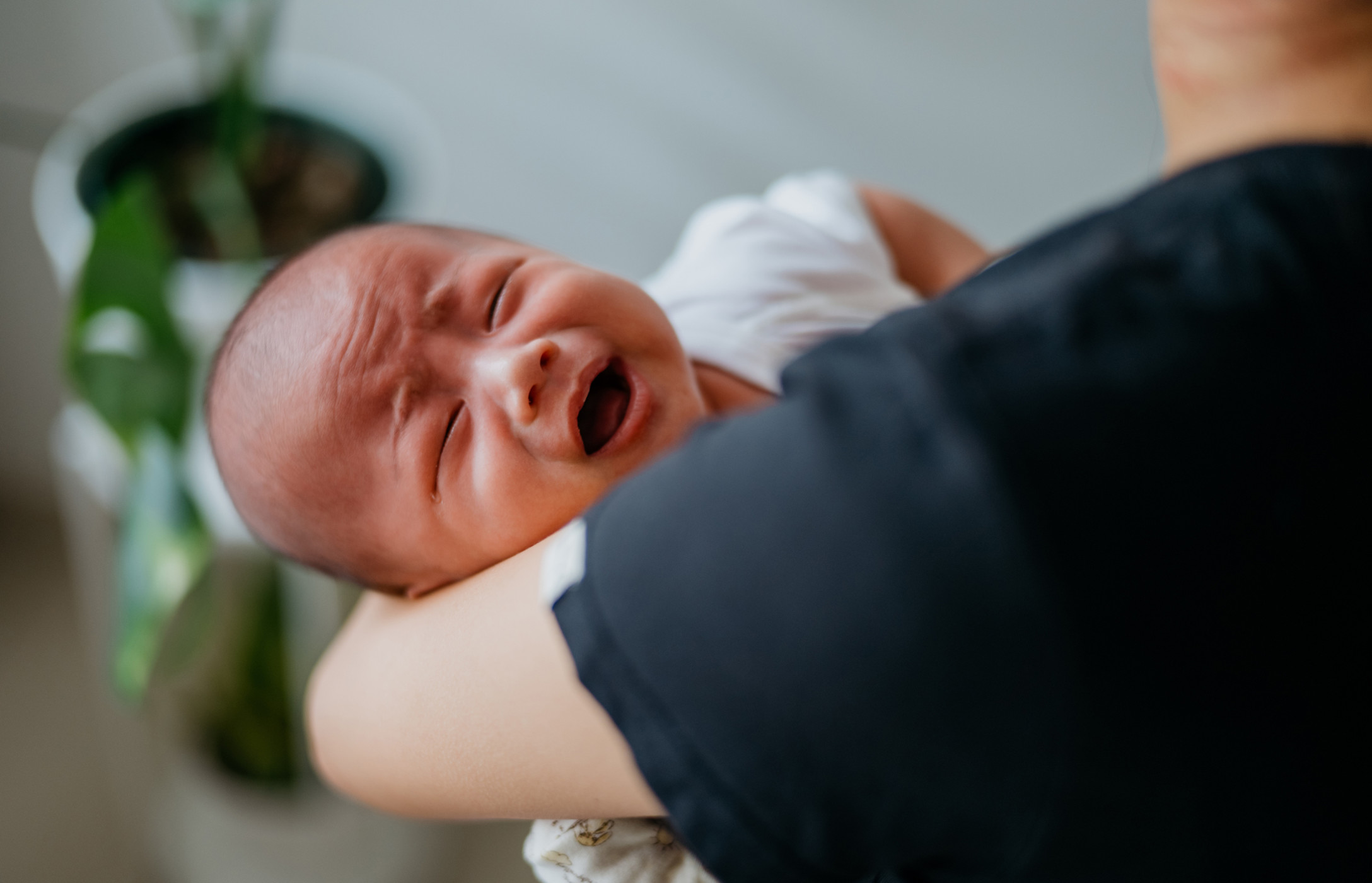 iStock-1338262976