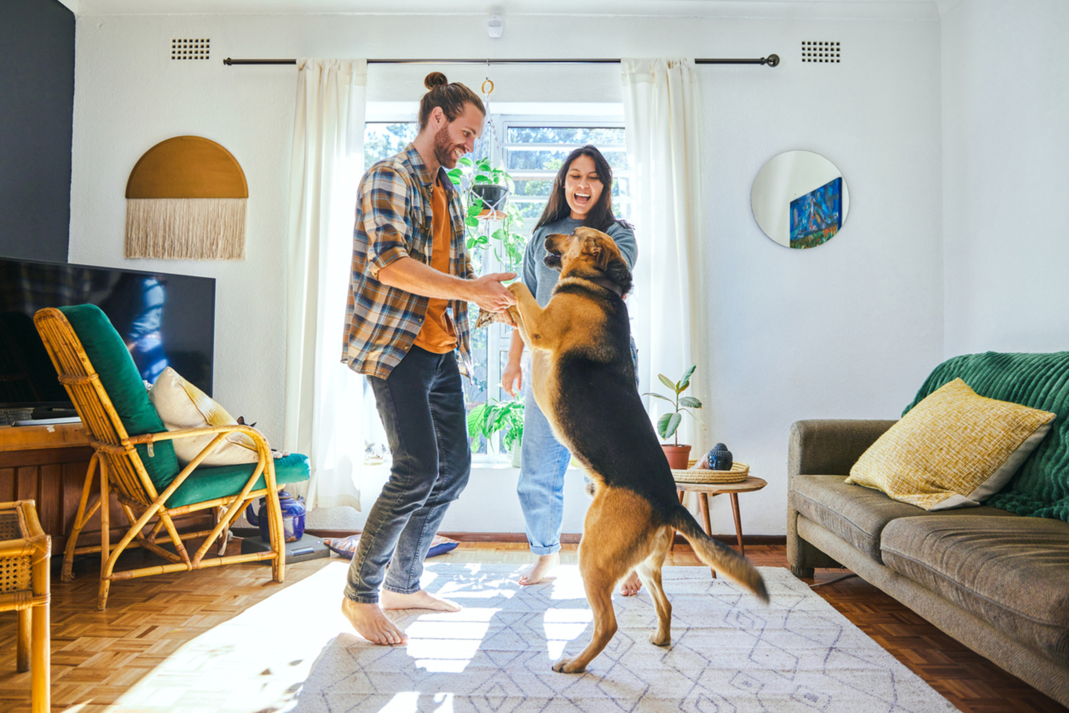 iStock-1352214572.jpg