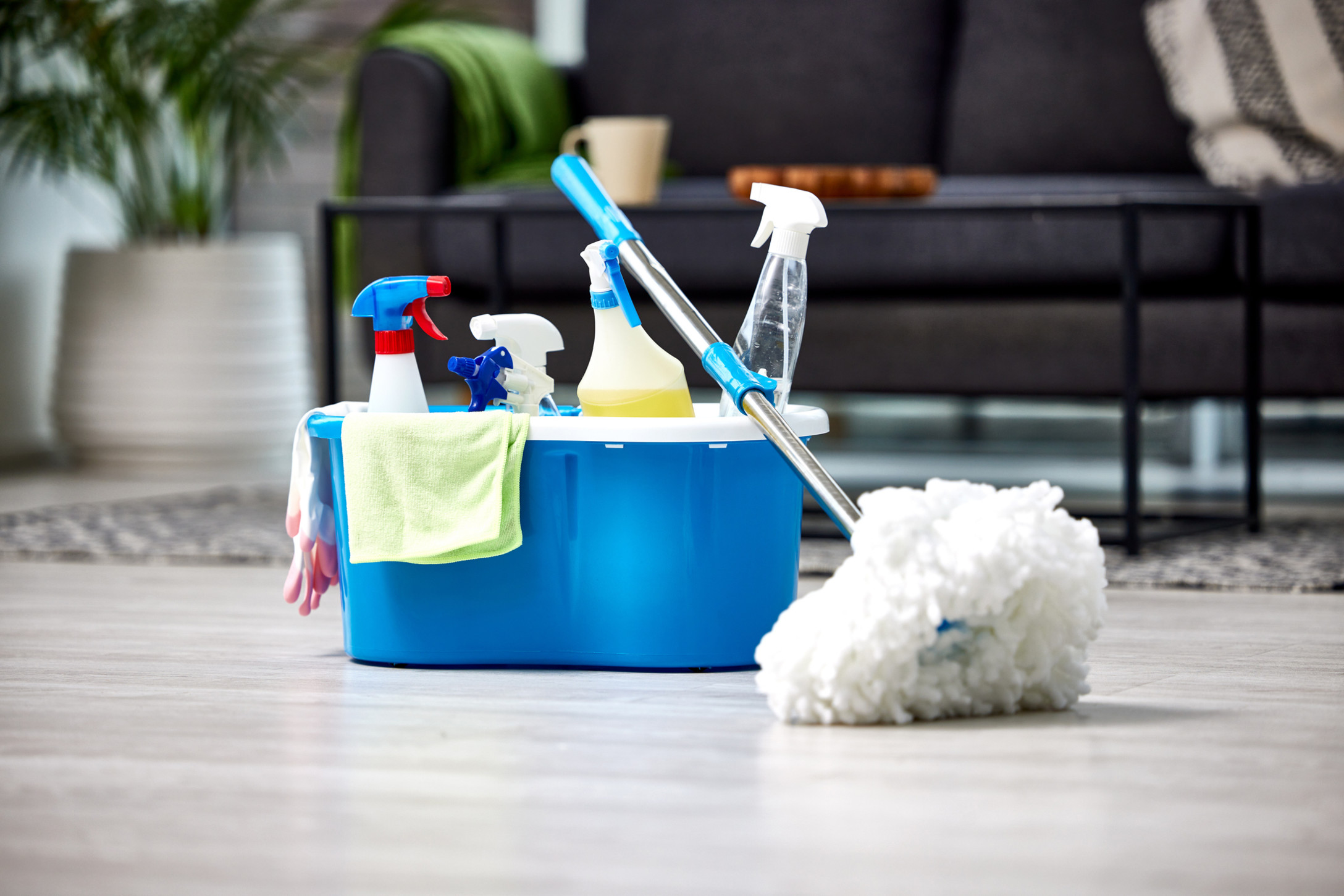 Cleaning supplies