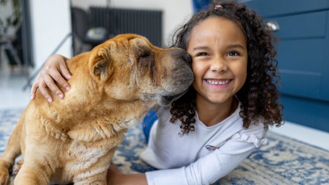 pet allergies
