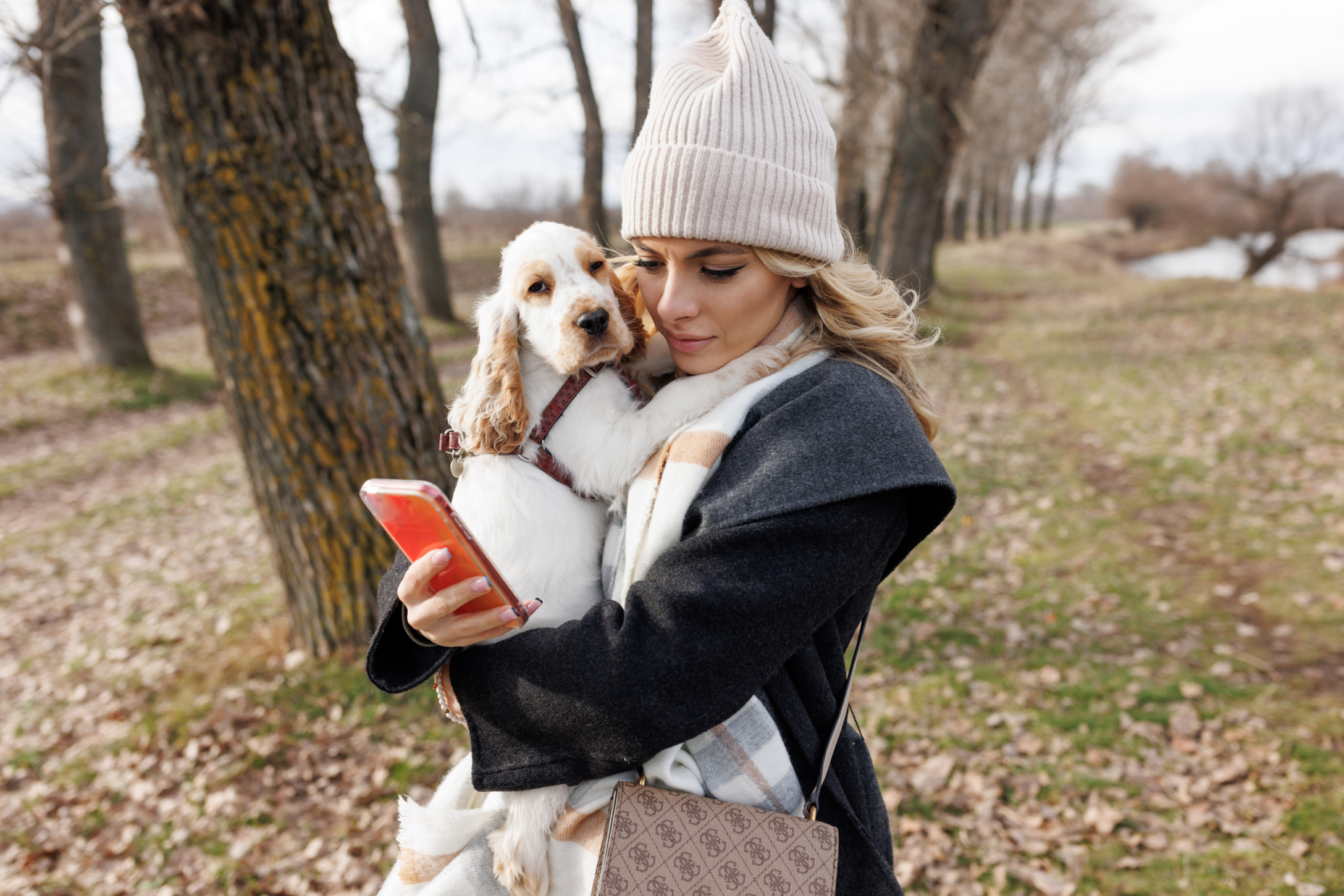 woman holding dog looking at phone