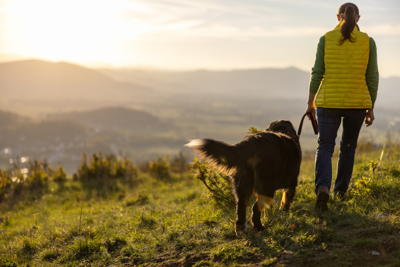 Rear view of woman with Bernese Mountain Dog walking on mountain