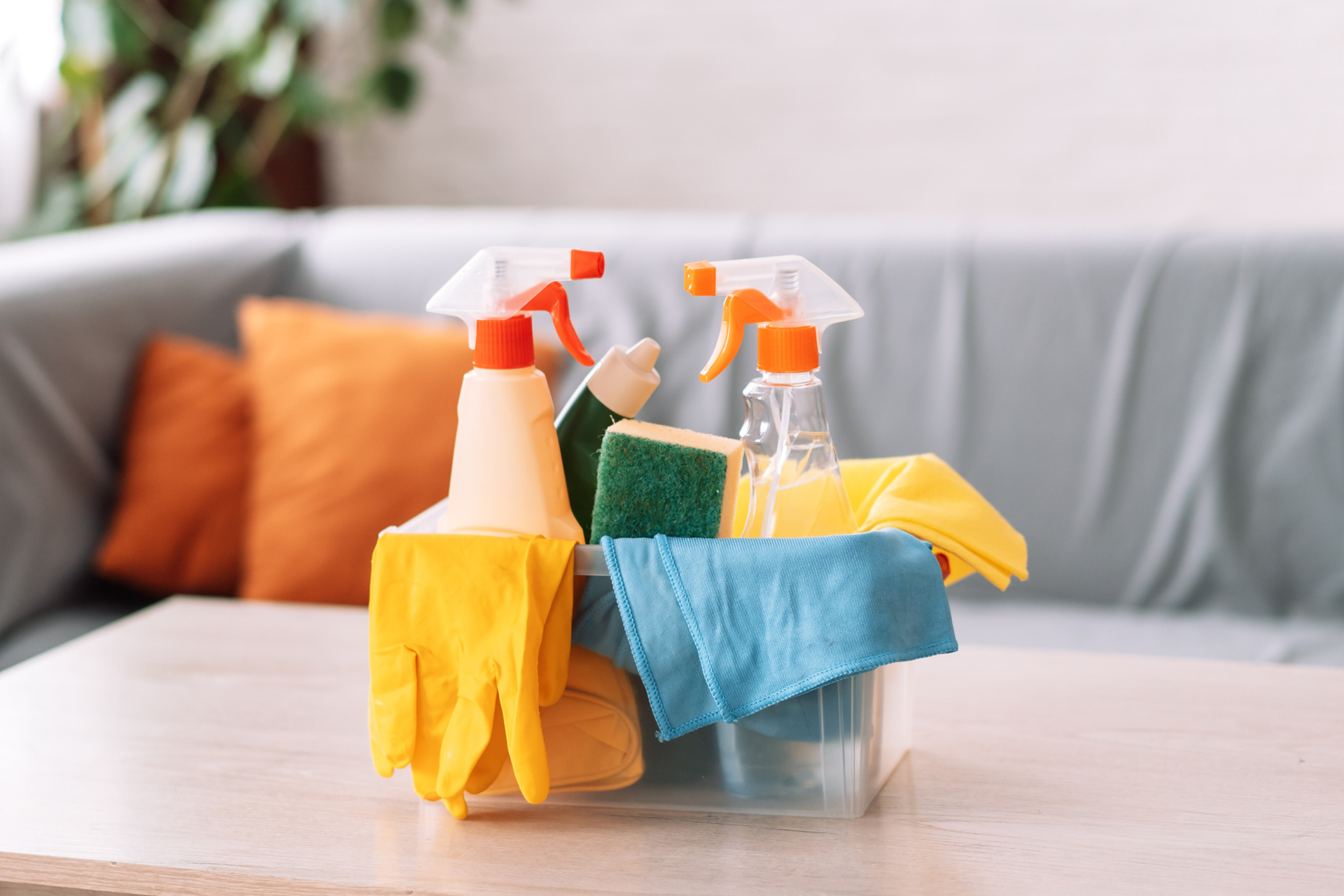 Cleaning Supplies