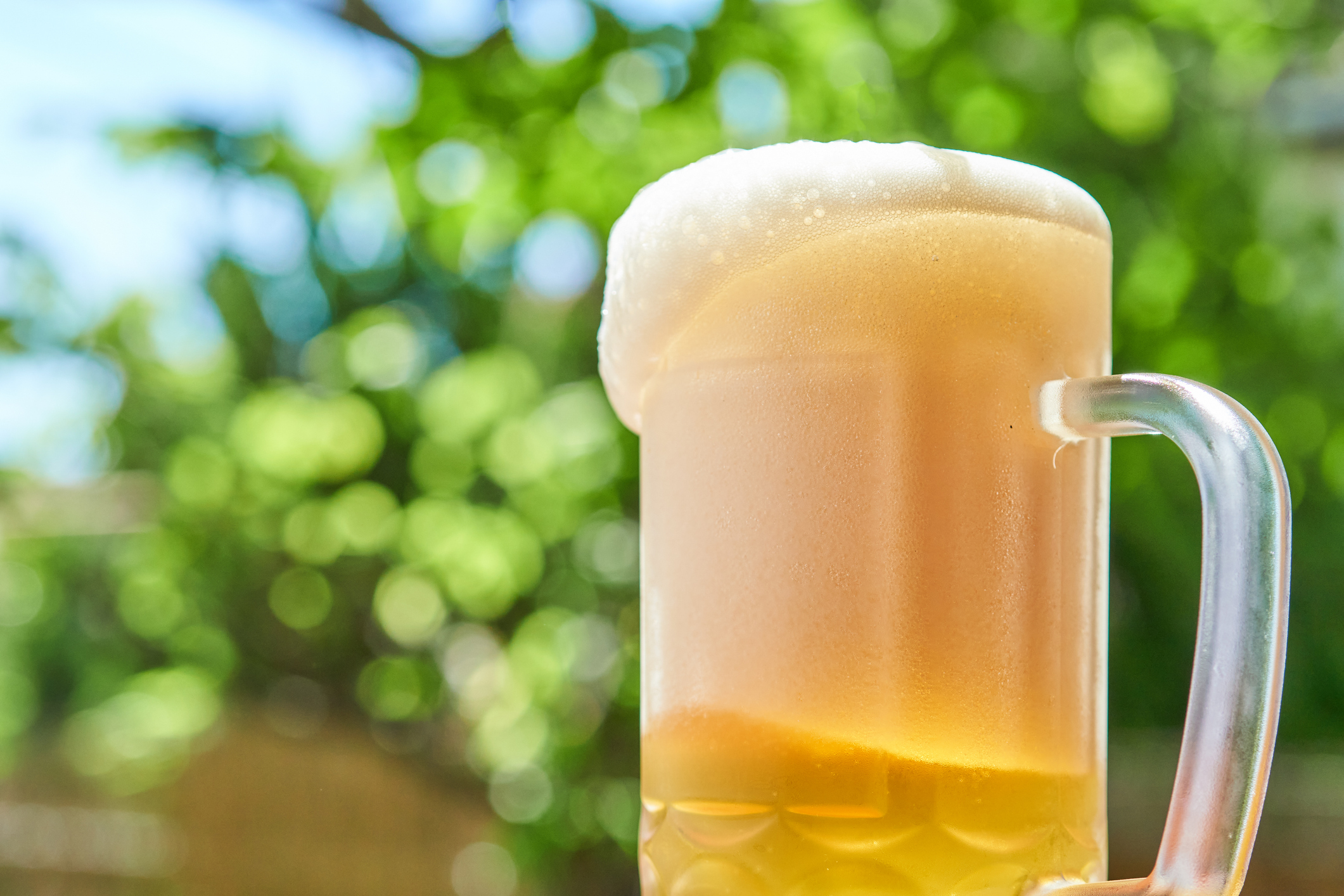 Draft beer poured into a beer mug