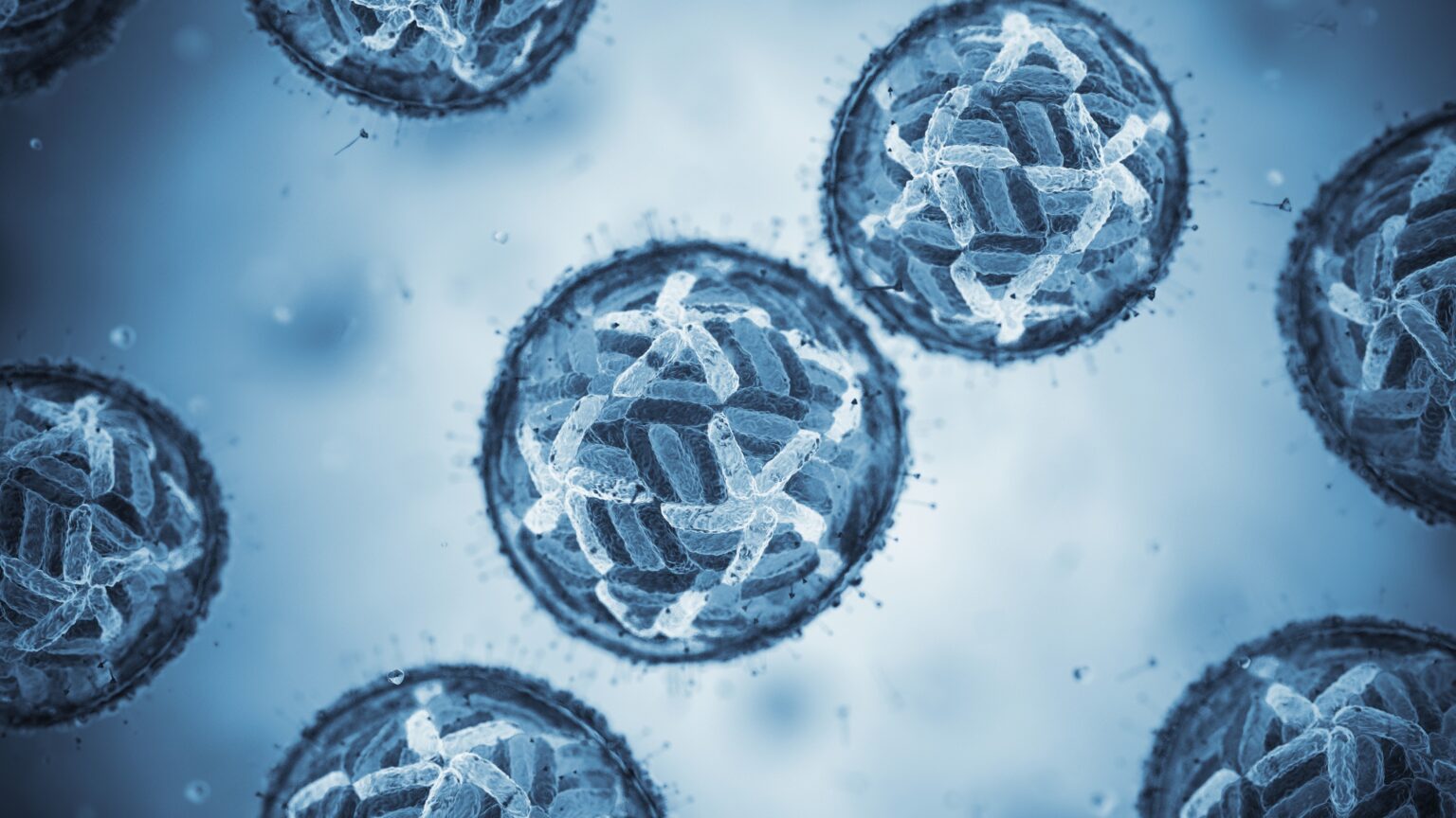 Peruvian TikTok Star Dies From Complications of Dengue Fever