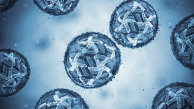 Dengue virus cells