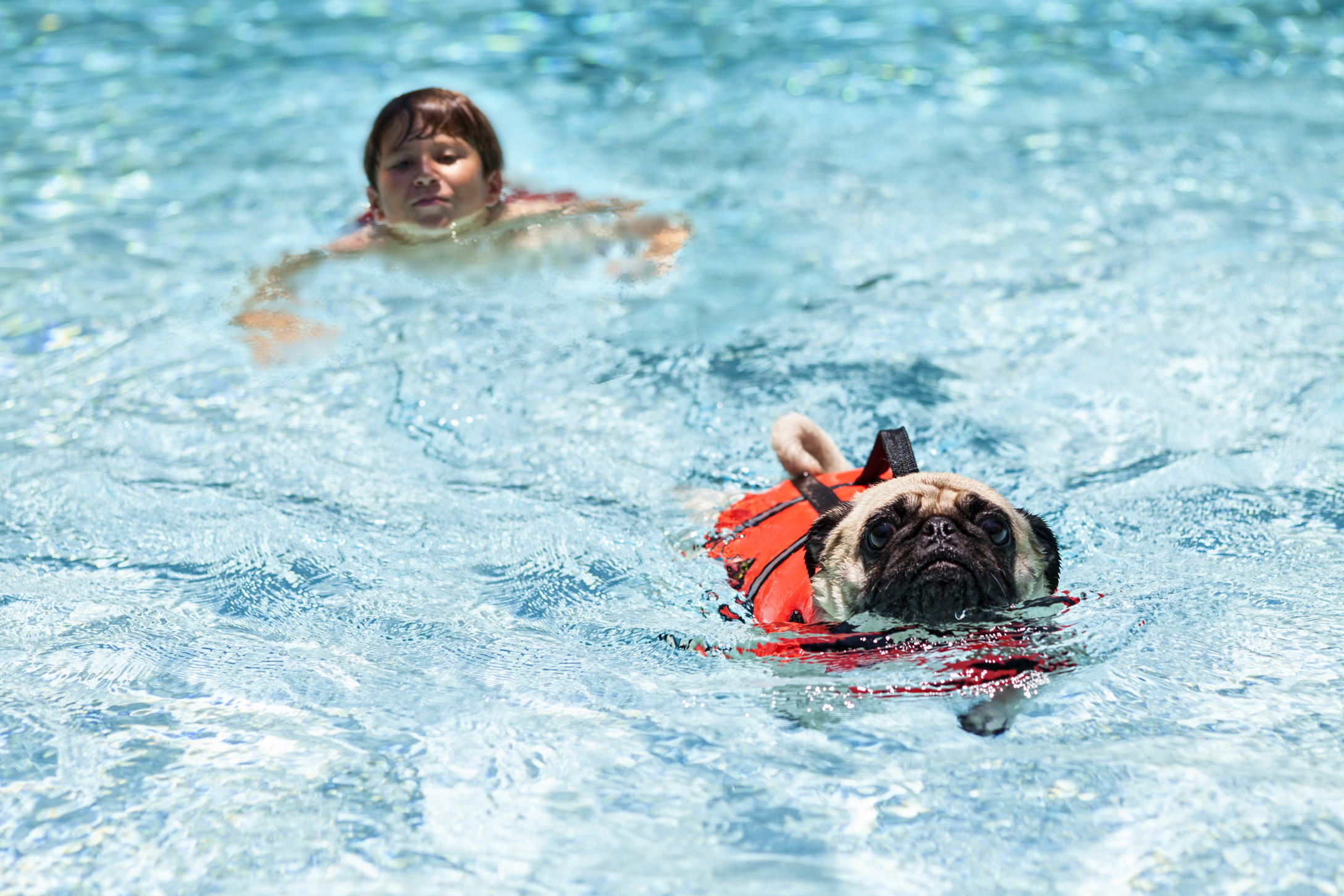 iStock-171591461.jpg
