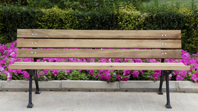 Wooden bench in park
