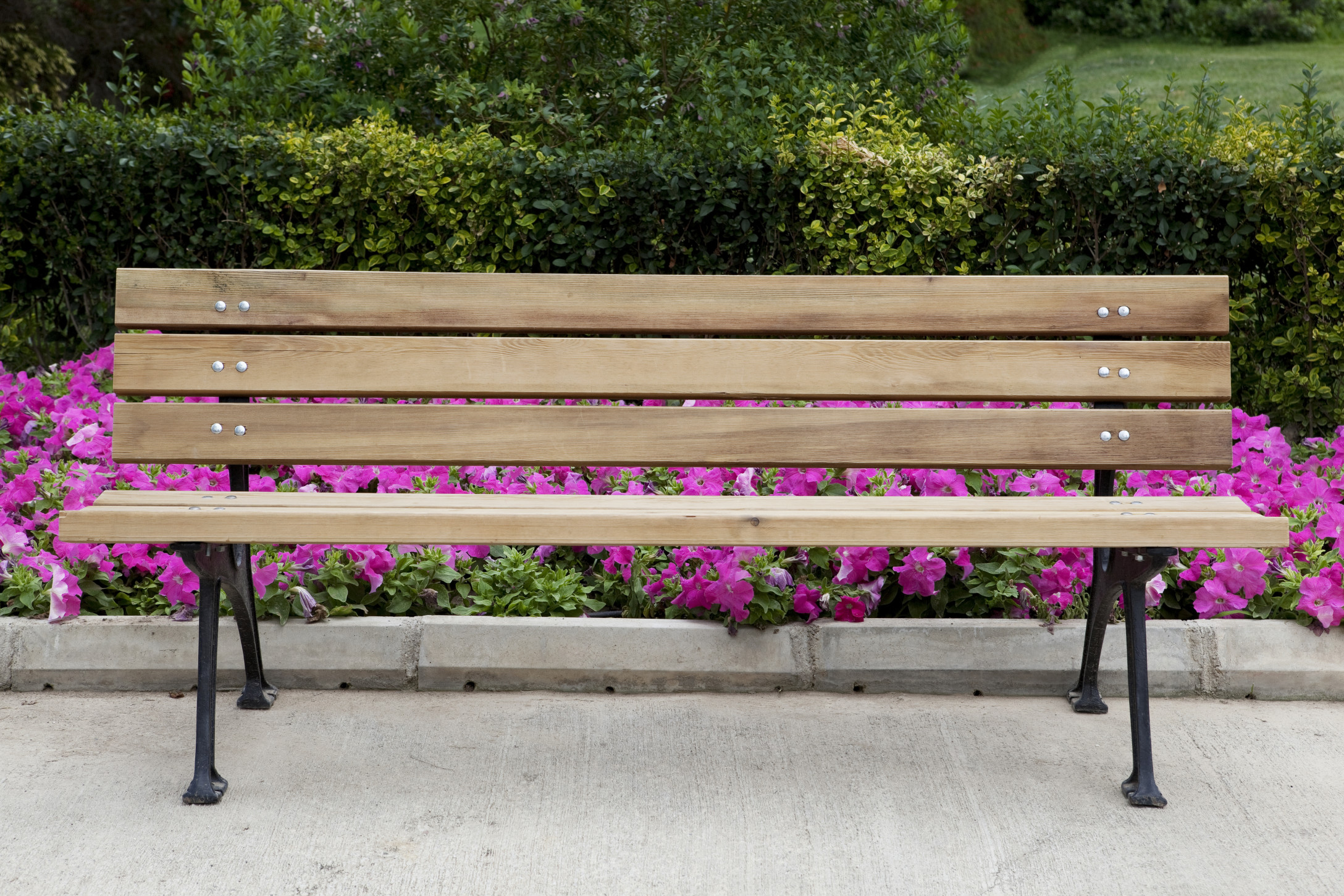Wooden bench in park