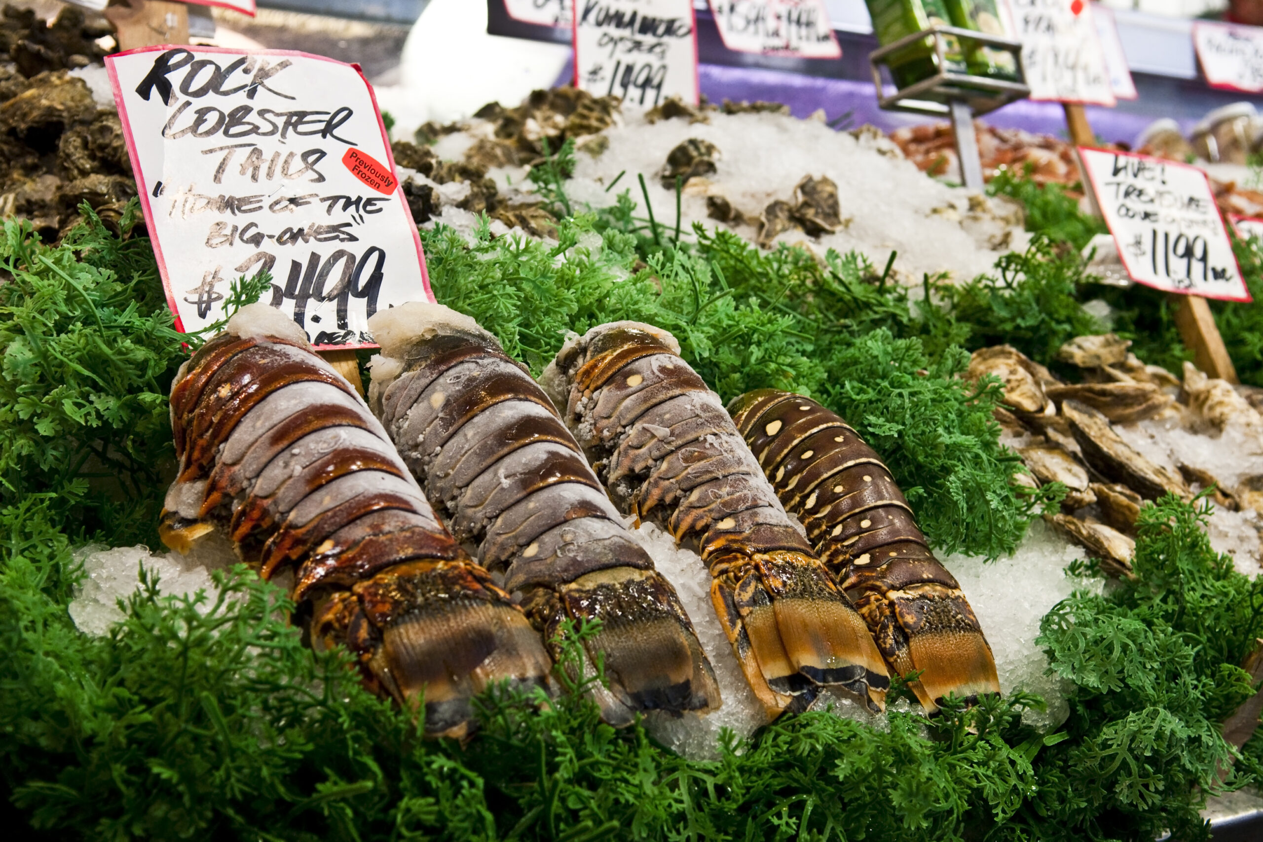 Lobster tails