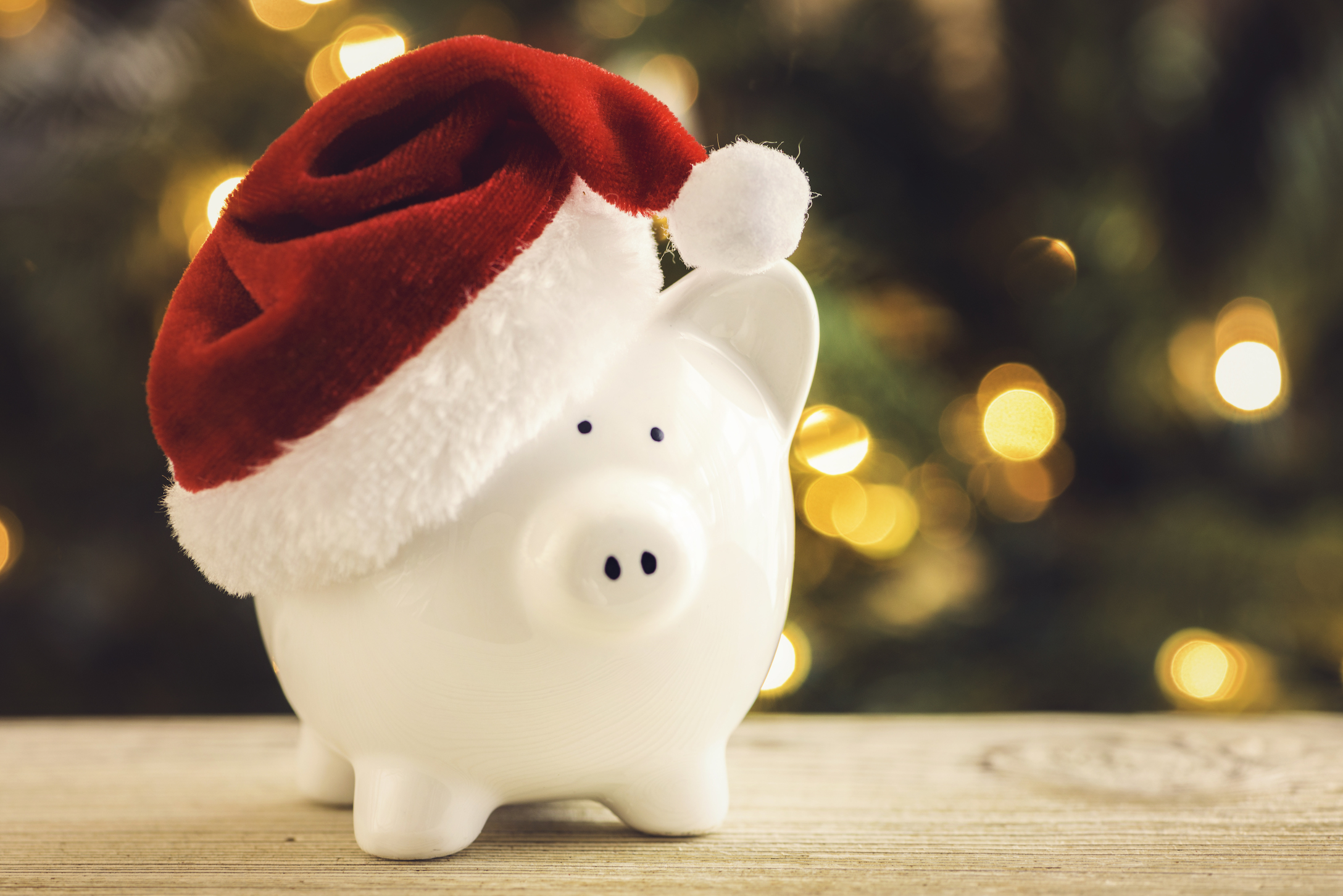 piggy bank wearing a santa hat