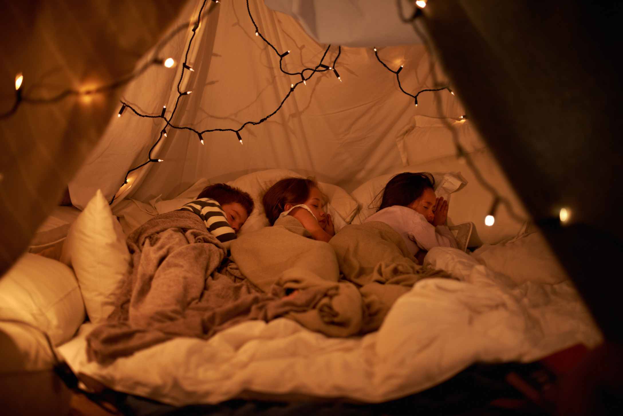 iStock-498335435.jpg