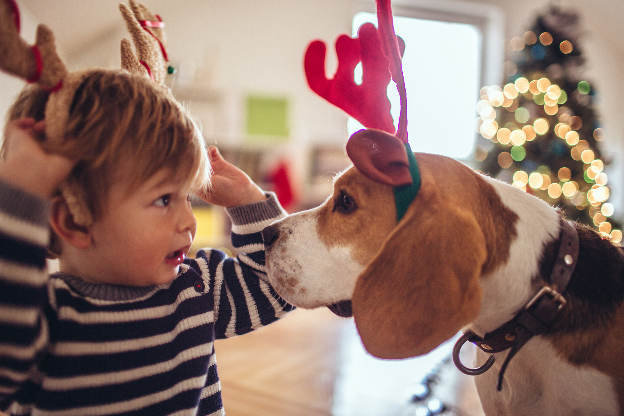 Let's help to Santa Clause!