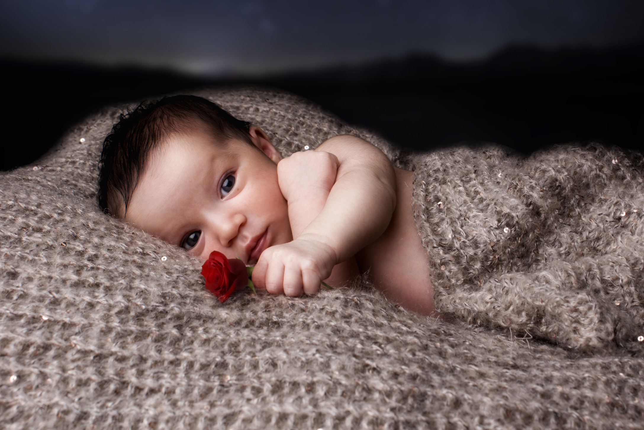 iStock-524881296.jpg