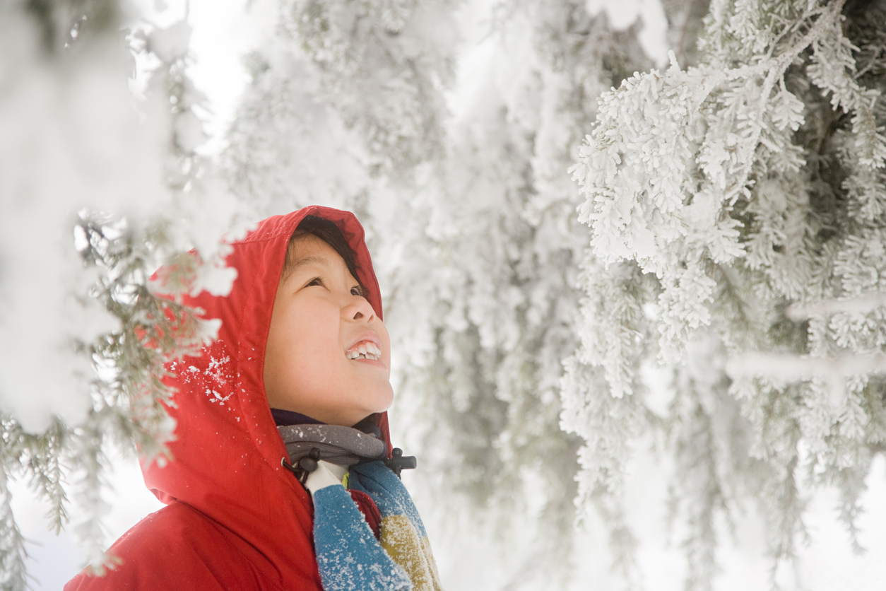 Boy and snow covered trees